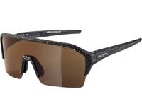 Zonnebrillen Alpina Ram HR Q-Lite Black-Blur Matt