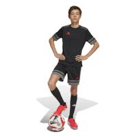 adidas Squadra 25 Voetbaltenue Kids Zwart Grijs Rood