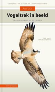 Vogeltrek in beeld (Hardback)