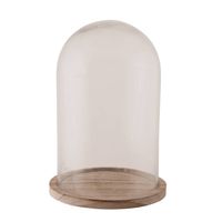 Decoratie/presentatie stolp 17 x 25 cm op plateau van hout - Decoratieve stolpen