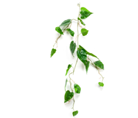Anthurium vine 110 cm kunstplant - Emerald