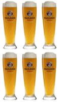 Paulaner Bierglazen Weizen - 300 ml - 6 stuks