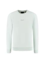 Ballin Zomer sweater jongens - licht groen - Botanic identity