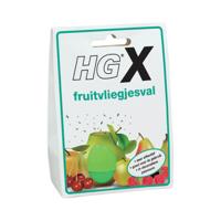 HG x fruitvliegjesval