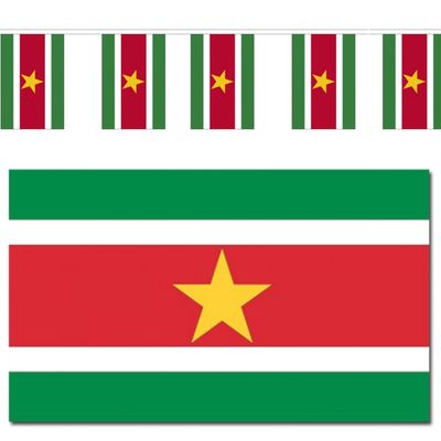 Suriname vlaggen versiering set binnen/buiten 2-delig
