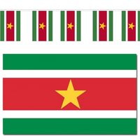 Suriname vlaggen versiering set binnen/buiten 2-delig