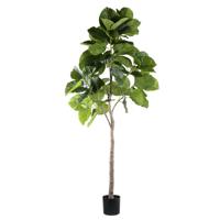 Kunst Ficus in pot L