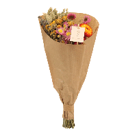 Droogbloemen Field Bouquet Multi - Ø25cm - ↕60cm - Ø15 - ↨35cm