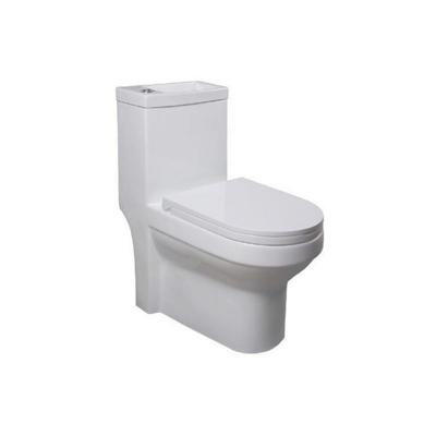 Duoblok Sapho Hygie Met Ingebouwde Fontein Soft Close Wit Sapho