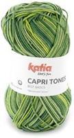 Katia Capri Tones 305 Groen-Pistache