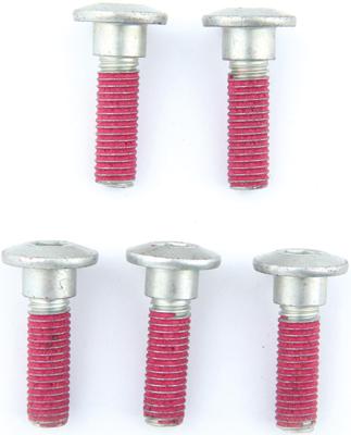 TRW bouten set screw set 5pcs. m8x1,25