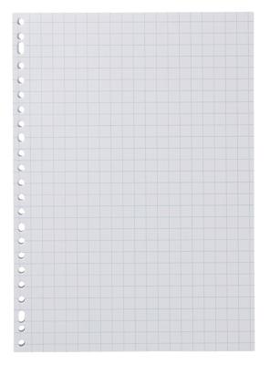 HEMA Ringbandpapier Geruit 10x10mm - 100 Stuks