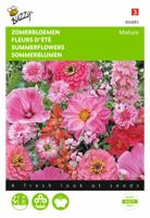 Zomerbloemen Rose Rode Tinten - Buzzy