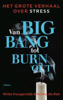 Van big bang tot burn-out - Witte Hoogendijk, Wilma de Rek - ebook - thumbnail