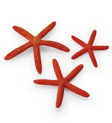 Oase biOrb Rode Zeesterren Set - Veilig & Duurzaam voor Levendige Aquarium Decoratie