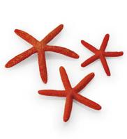 Oase biOrb Rode Zeesterren Set - Veilig & Duurzaam voor Levendige Aquarium Decoratie