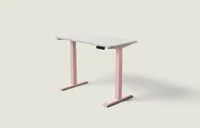Desktronic HomeOne bureau Zachtroze / Grijs / 120x60 cm