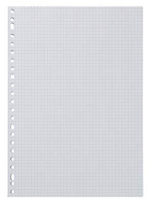 HEMA Ringbandpapier Geruit 5x5mm - 100 Stuks