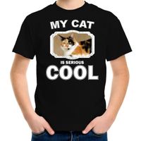 Lapjeskat katten / poezen t-shirt my cat is serious cool zwart voor kinderen - thumbnail