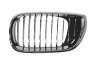 Radiateurgrille 6502070061993AP