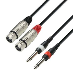 Adam Hall 3 Star TFP 0100 verloopkabel 2x XLR female naar 2x jack mono 1m