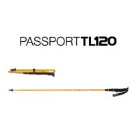 Helinox Passport TLADJ Wandelstokken Gold