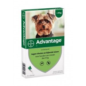 Advantage Nr. 40 vlooienmiddel (tot 4kg) hond 1 verpakking