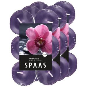 36x Geurtheelichtjes Wild Orchid/paars 4,5 branduren