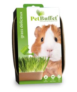 Baza petbuffet delicieux cavia