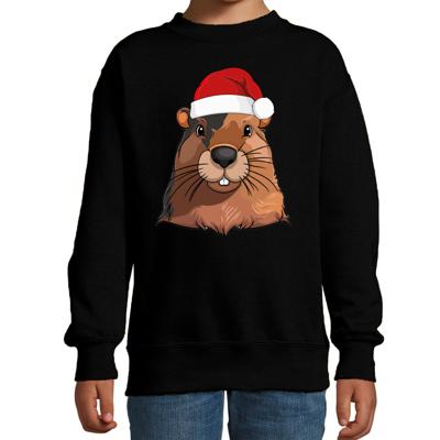 Kersttrui / sweater familie Bever - kinderen - dieren - zwart - kerstmuts - Kerstmis