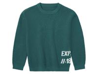lupilu Peuters pullover van zuiver katoen (122/128, Groen) - thumbnail