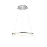 Paul Neuhaus Ronde hanglampHoop aluminium - 2851-95