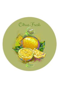 E & S Rasage vegan scheercrème CITRUS FRESH 125ml