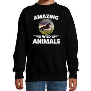 Sweater horses are serious cool zwart kinderen - paarden/ paard trui 14-15 jaar (170/176)  -