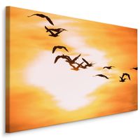 Schilderij - Aalscholvers bij zonsondergang, Premium Print - thumbnail