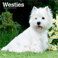 West Highland White Terrier Kalender 2026