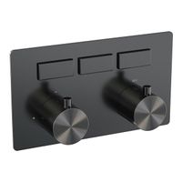 BRAUER gunmetal Edition - 3 functies - inbouwthermostaat - drukknoppen - in/afbouwdelen - gunmetal geborsteld PVD 5-GM-156