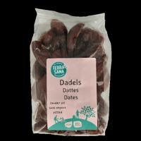TerraSana RAW Dadels zonder pit bio 250 Gram