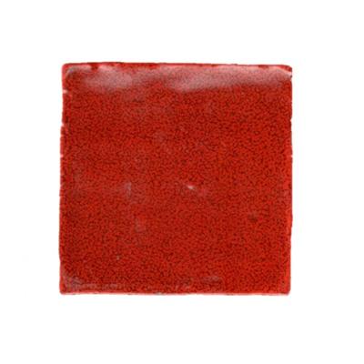 Terre d&apos;Azur Porto Tegel 10x10cm Rood F51