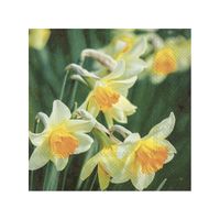 40x Gekleurde 3-laags servetten narcissen 33 x 33 cm - thumbnail