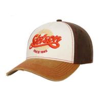 Stetson Vintage Distressed Baseball Pet Bruin