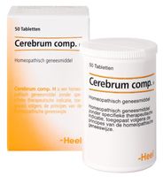 Cerebrum compositum H