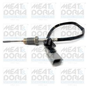 Sensor, uitlaatgastemperatuur 12134