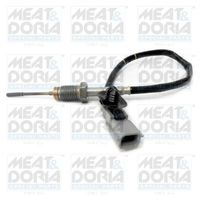 Sensor, uitlaatgastemperatuur 12134