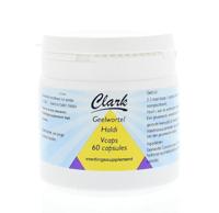 Holisan Haldi/geelwortel 500mg 60 Capsules