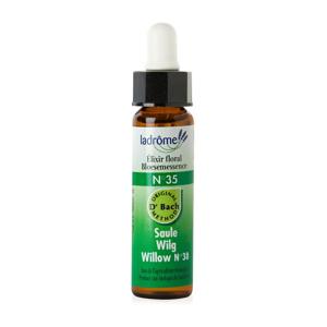 Ladrome Willow/wilg 35 bio