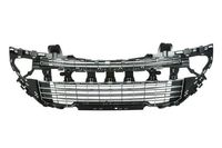 Ventilatiegrille, bumper 6502075519919P