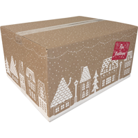 Kerstpakketdoos (D) 450x350x230mm dessin HUISJES 2025 per stuk