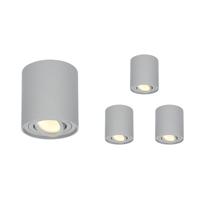Set van 4 Ray LED opbouwspots - Rond - Dimbaar - 4 Watt 345 lumen - 2700K warm wit - Kantelbaar - GU10 - Plafondspot - IP20 Voor binnen - Grijs