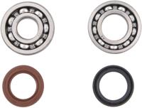 ALL BALLS Racing krukas lagerset crankshaft bearing set ab 24-1072 with simmerrings